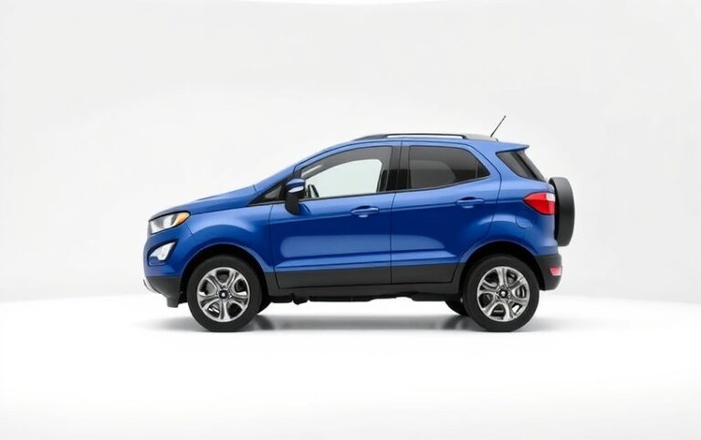 Ford EcoSport wet belt replacement