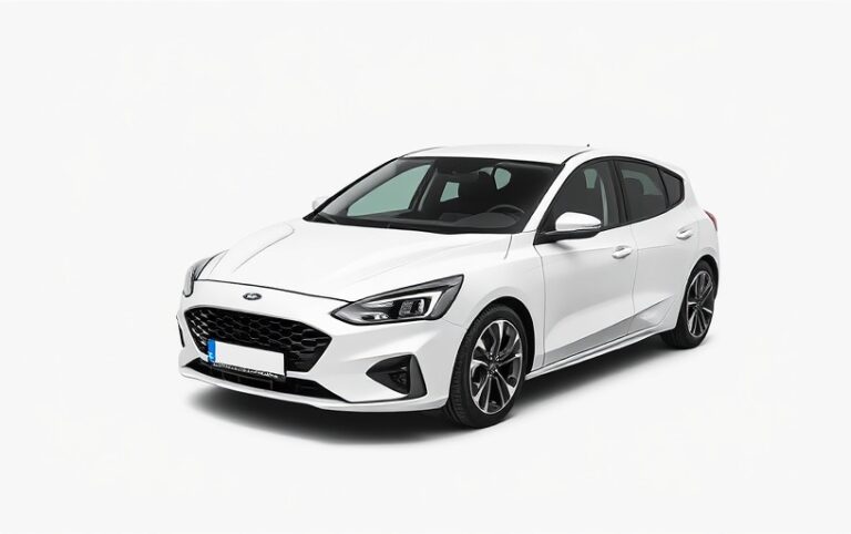 Ford Focus wet belt replacement